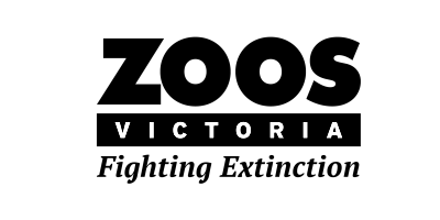 Zv Black