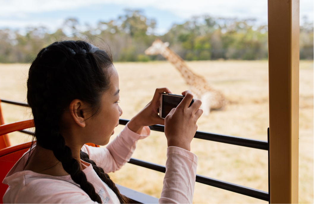 Zoos 02