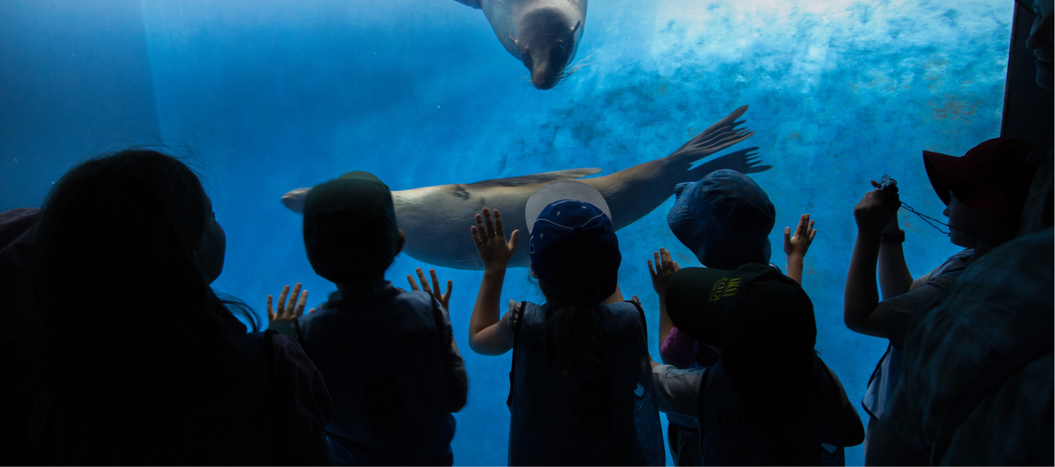 Zoos Banner