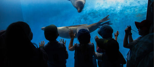 Zoos Banner