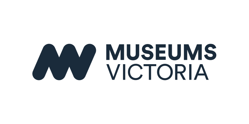 Mv