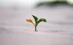 Rbgv 05