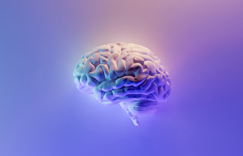 Img 01 2